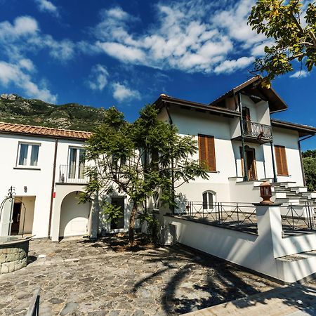 Tenuta Calitto Wine Resort E Spa Ischia Exterior photo