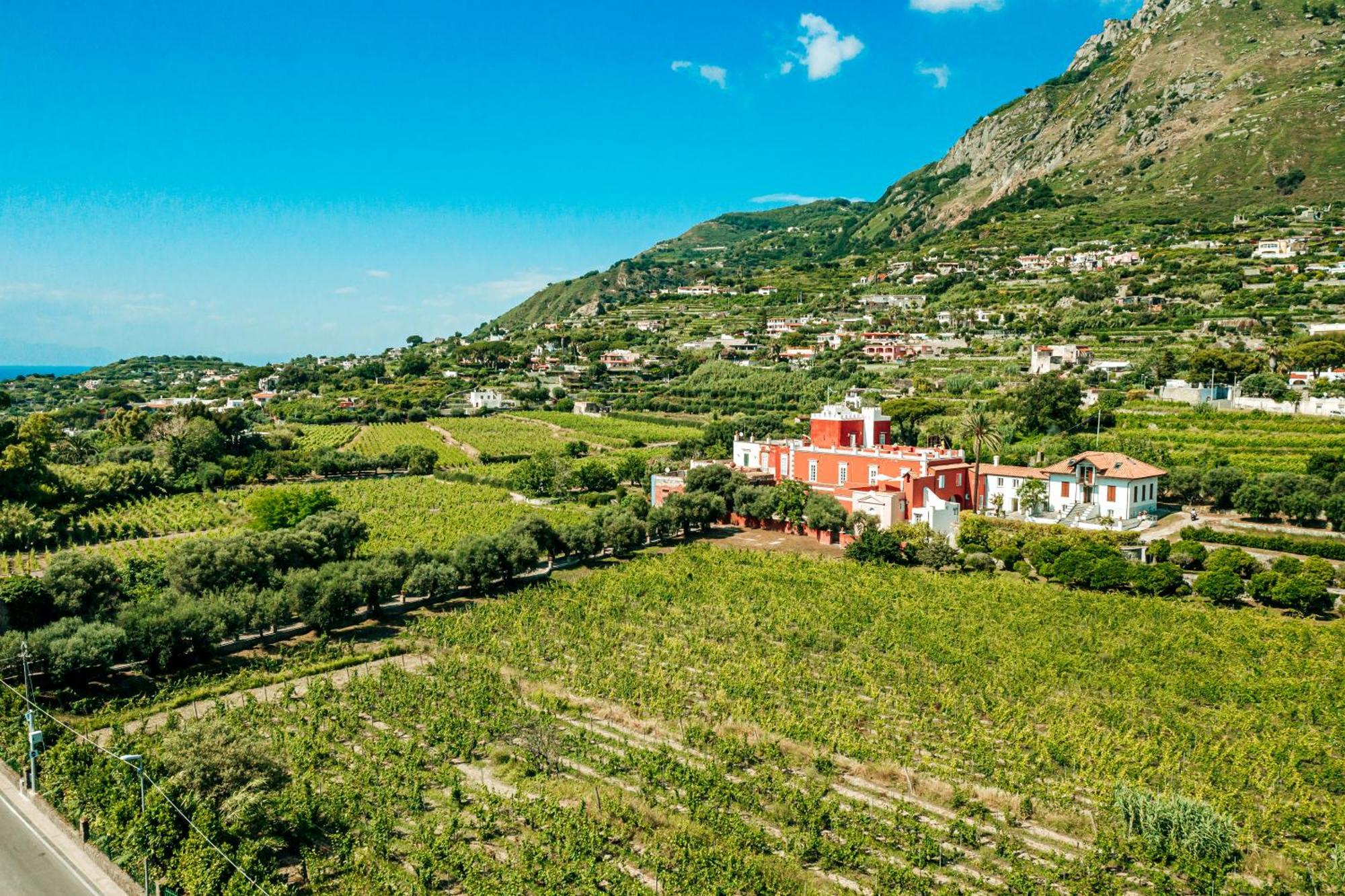 Tenuta Calitto Wine Resort E Spa Ischia Exterior photo