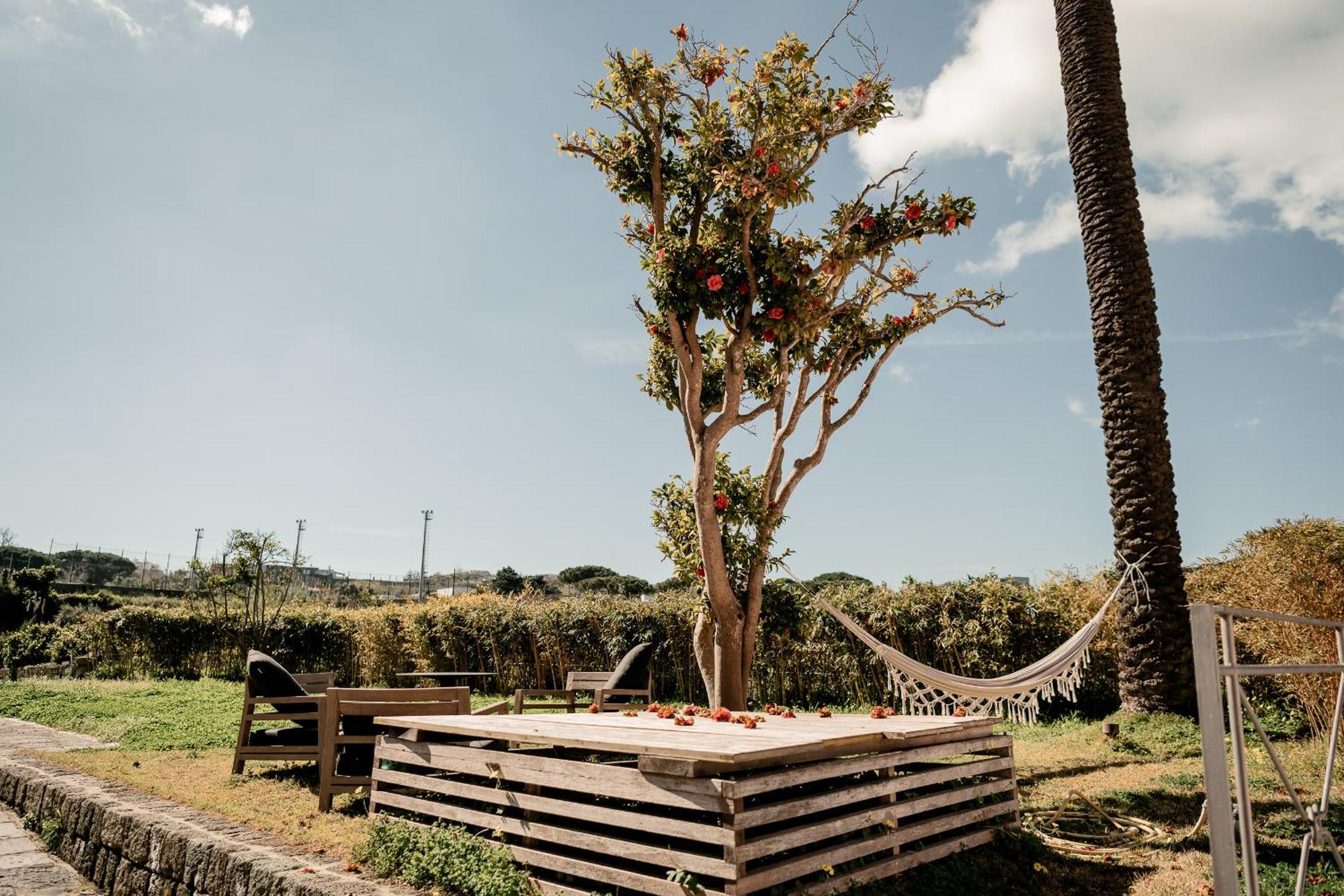 Tenuta Calitto Wine Resort E Spa Ischia Exterior photo