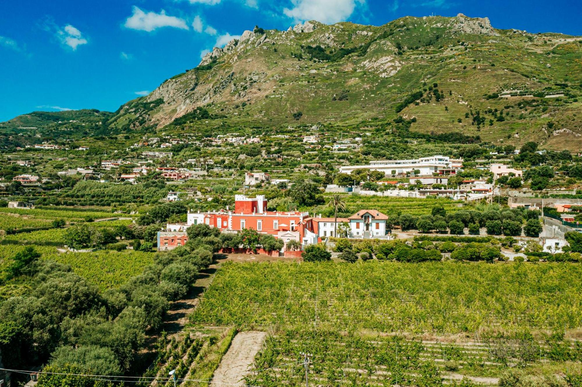 Tenuta Calitto Wine Resort E Spa Ischia Exterior photo