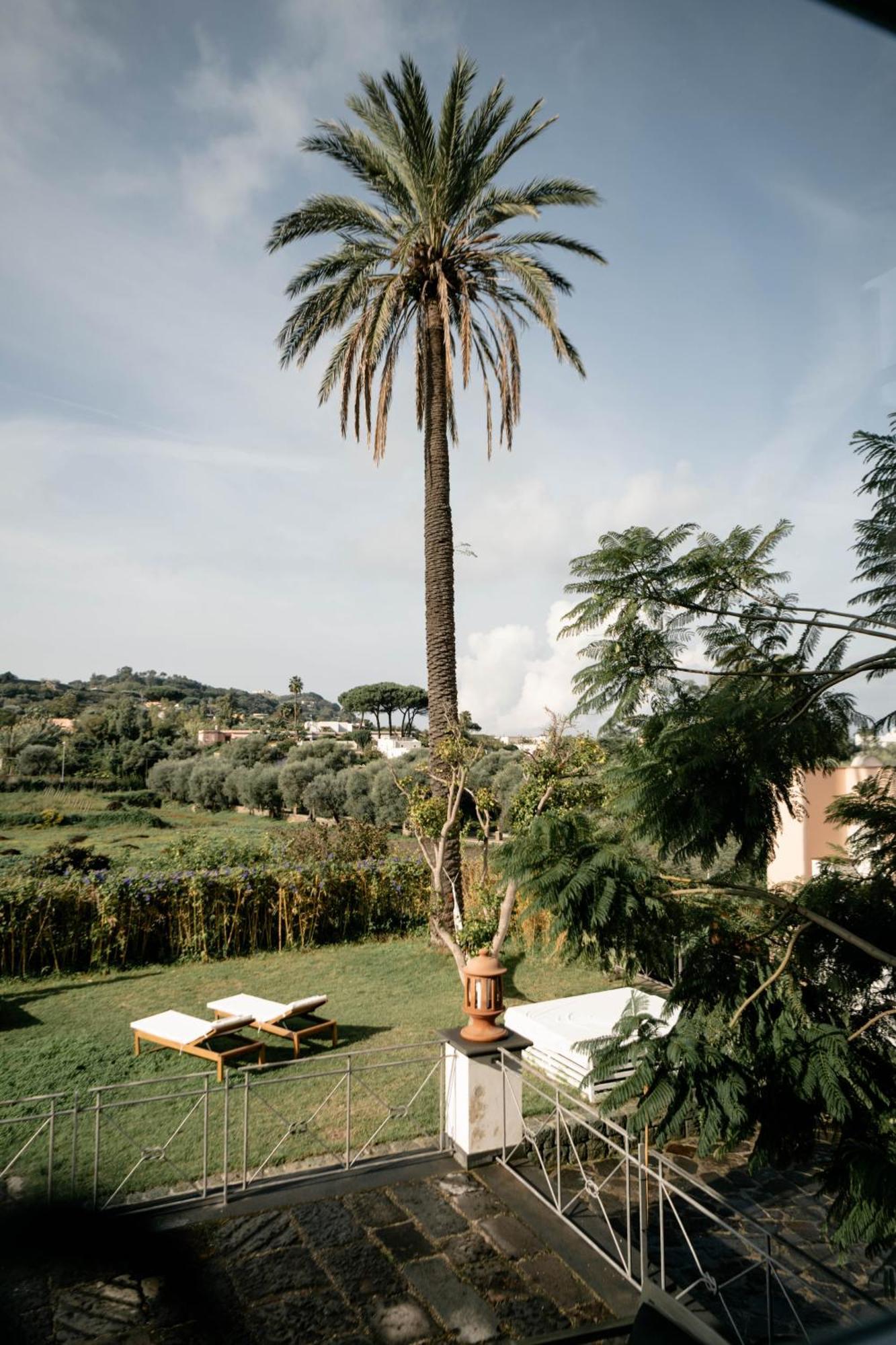 Tenuta Calitto Wine Resort E Spa Ischia Exterior photo