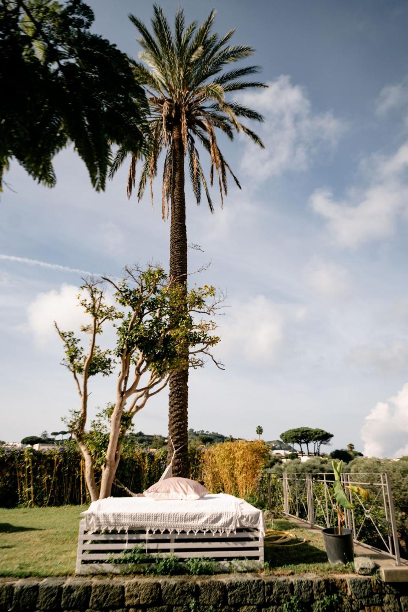 Tenuta Calitto Wine Resort E Spa Ischia Exterior photo